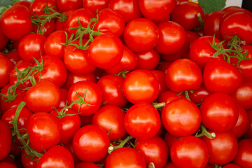 Mini cherry tomatoes on the vine sold at the market