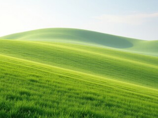 Obraz premium A rolling hill covered in a thick layer of fresh spring green grass, outdoors, peaceful landscape