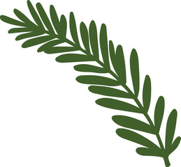 A green leafy plant with a long stem