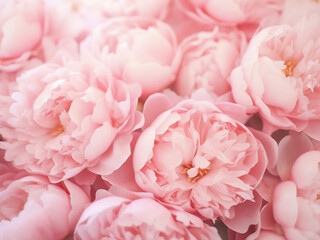 Fototapeta premium Light pink peony flowers on a floral background with soft color and copy space