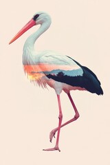 Fototapeta premium Elegant Stork Walking Gracefully in Soft Pastel Colors â€“ Beautiful Bird Photography for Nature and Wildlife Enthusiasts
