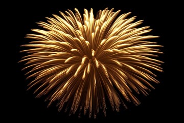 Fototapeta premium Single golden firework in a spherical shape shining vividly in the dark