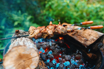 Shashlik on skewers in the forest.