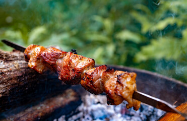 Shashlik on skewers in the forest.