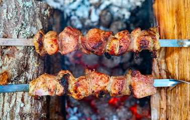 Shashlik on skewers in the forest.