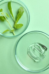 Petri dishes, cosmetic gel swatches with aloe on color background, copy space. Bio science research, biochemistry, organic skin care concept