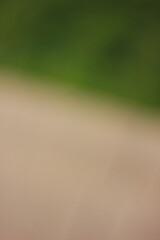 A dreamy view of a path in the park.