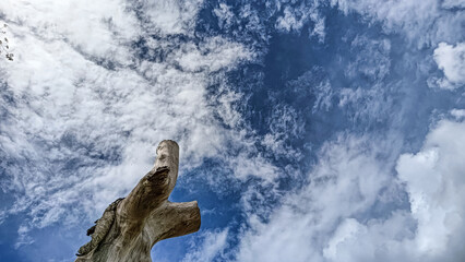 A striking image of a weathered tree trunk reaching up into a dynamic sky filled with textured clouds and deep blue hues.
