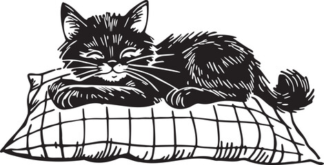 Sleeping cat on a pillow