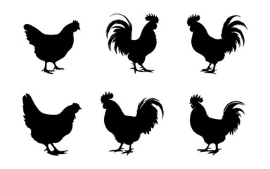 Hen silhouette set vector on white background.