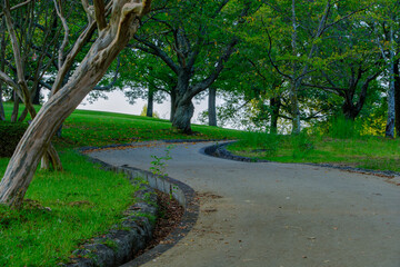 緑に囲まれたカーブする小道