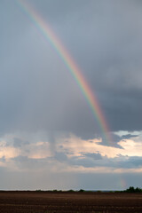 Vertical shot of rainbow over agricultural field. Bright colourful sky after the rain with rainbow