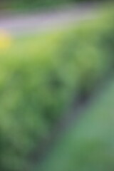 green bokeh background