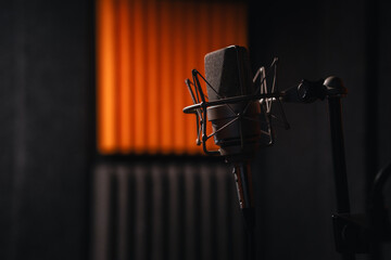 Microphone in a recording studio vocal booth
