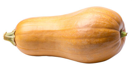 pumpkin on a white background