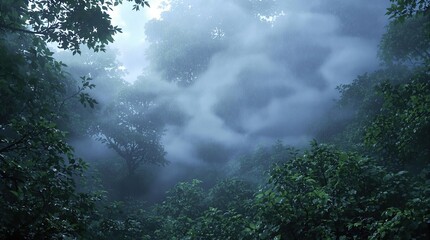 Obraz premium Abstract view of rain curtains in a deep forest environment, dreamlike, indistinct, weather patterns, atmospheric conditions, mysterious