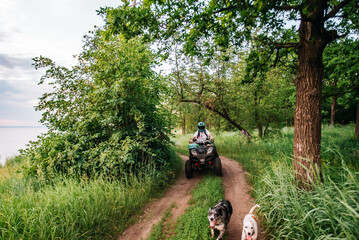 a girl and a guy bikers ride quad bikes in a beautiful green forest on a river cliff, their dogs are running nearby