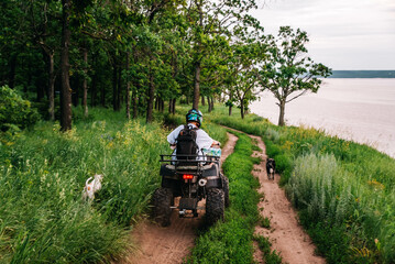 a girl and a guy bikers ride quad bikes in a beautiful green forest on a river cliff, their dogs are running nearby