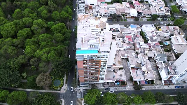 Un edificio moderno minimalista con una piscina situada en la esquina de una calle concurrida por peatones, veh&iacute;culos y un extenso parque repleto de &aacute;rboles