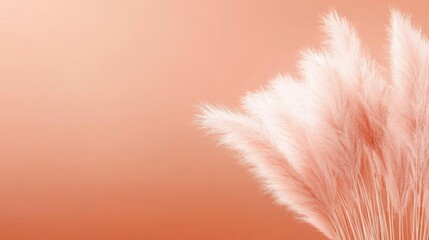 Obraz premium Close-up group pampas grass leaves vase are white An elegant and serene