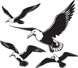 set of flying birds