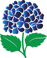 flower isolated on white