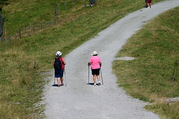 Almwanderung. Zwei ältere Frauen von hinten auf Schotterweg