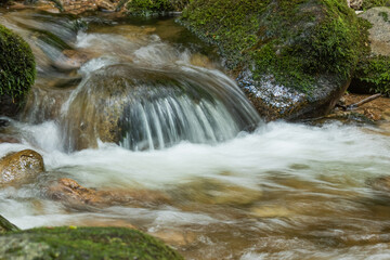 Waterfall in the forest
