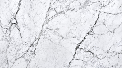 Obraz premium Elegant space with white Carrara marble, subtle grey veining on white, a classic and luxurious look