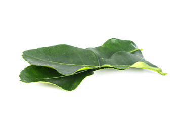Obraz premium Kaffir lime leaf on white background