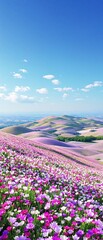 Fototapeta premium Blooming wildflowers in southern Beit Shemesh, blossoms, colorful, wild