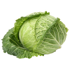 Obraz premium Fresh Green Cabbage Isolate On Transparent Background Cutout, PNG file, Cutout file