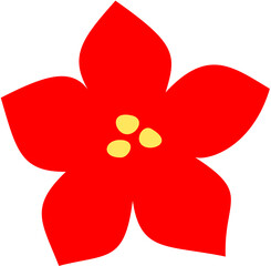 Christmas Red Flower Illustration