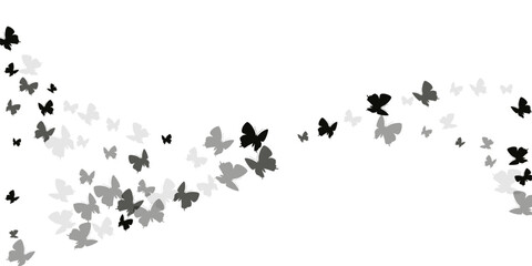 Tropical black butterflies cartoon vector background. Summer funny moths. Detailed butterflies cartoon children illustration. Delicate wings insects patten. Nature creatures.