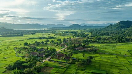 Obraz premium Serene Tea Plantation Landscape: Rolling hills covered in vibrant green tea plants under a bright sky. A picturesque view of agricultural serenity.