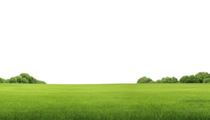green grass field isolated on transparent background cutout