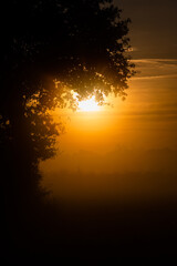 Lever du soleil entre les branches et a travers la brume du matin