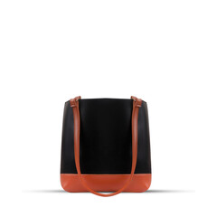 multi color black and brown women bag isolated on white background