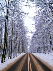 Road through a forest covered with snow. Wiezyca Poland.