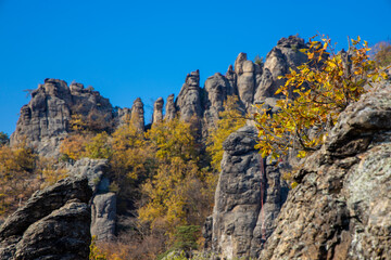 farm, animal, alpaca, llama, mammal, nature, cute, wildlife, wool, peru, domestic, lama, zoo, funny, fluffy, portrait, face, fur, white, brown, illustration, head, countryside, character, smile, vecto