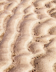 Sea shore as nature background.