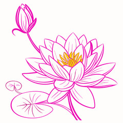 Fototapeta premium Lotus flower on white background.