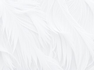Obraz premium Soft and delicate white feather pattern with intricate texture, beauty, delicate