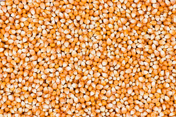 seeds background