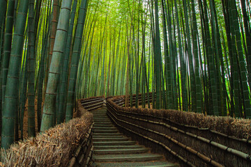 Obraz premium Japan Kyoto Bamboo Forest Adashino Nenbutsu-ji Temple