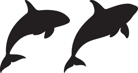 Orca silhouette vector art and illustration design.