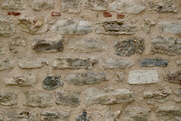 Stone wall, Plant on the wall, Ancient Wall