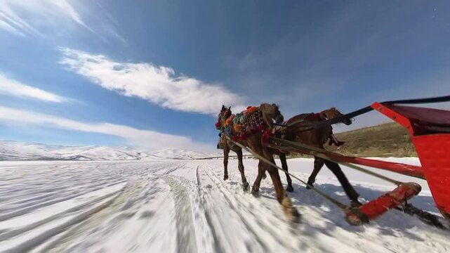 Frozen Cildir Lake, riding with horse carriage