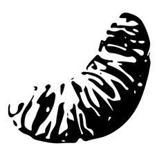 black and white manadrina lobe icon drawn in sketch style, for different designs, posters or textiles