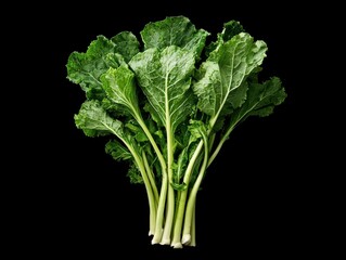 Winter vegetable harvest fresh greens from a garden captured in a studio setting for seasonal cooking inspiration